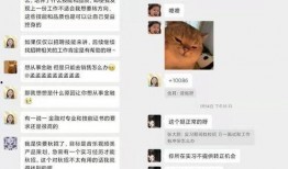 懂小姐的格子间最新爆料,最新爆料揭示职场风云